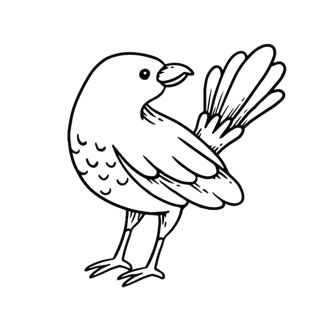 Free Vector hand drawn bird outline