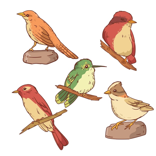 Free Vector hand drawn bird pack