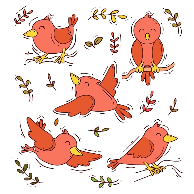 Free Vector hand drawn bird set