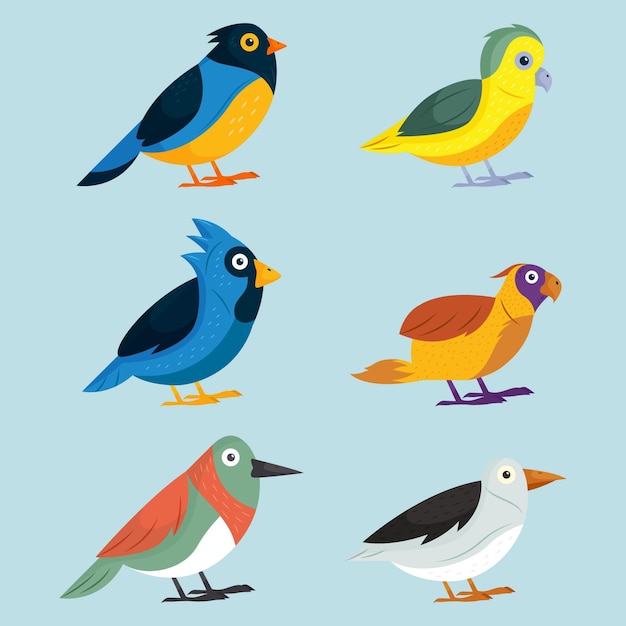 Free Vector hand drawn bird set