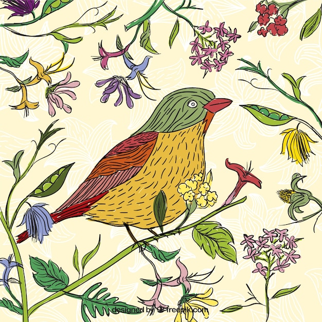 Free Vector hand drawn bird in spring time