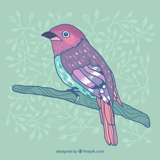 Free Vector hand drawn bird