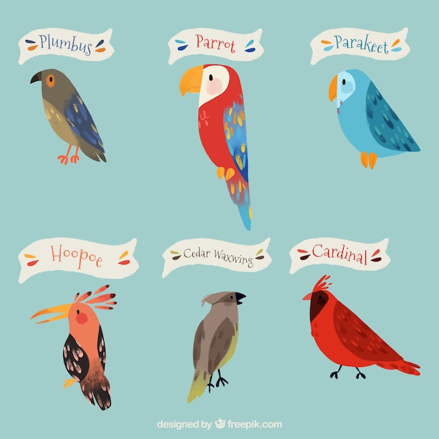 Free Vector hand drawn birds collection