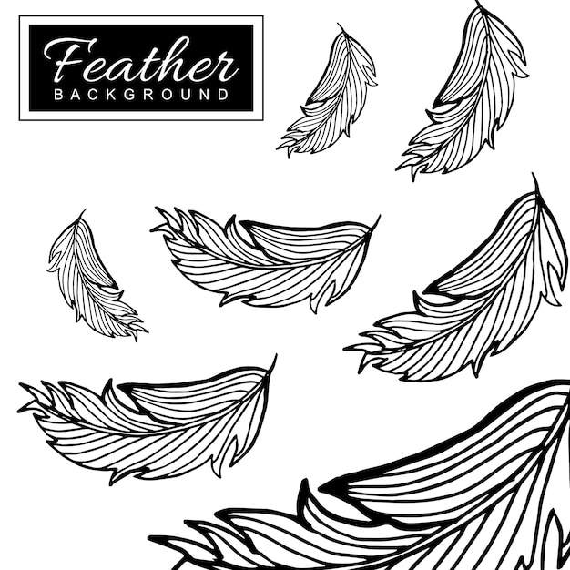 Free Vector hand drawn black &amp; white feather background