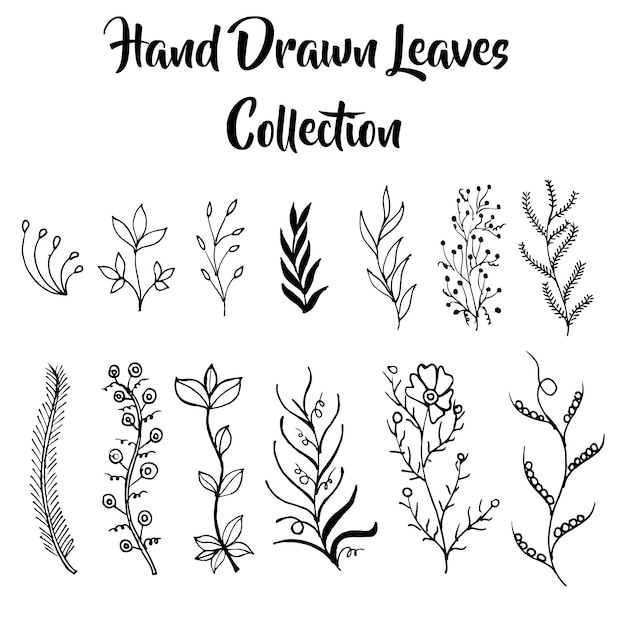 Hand Drawn Black and White leaves Collection