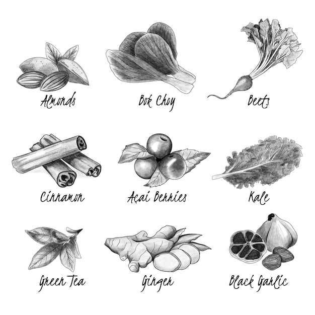 Hand drawn black and white super food collection