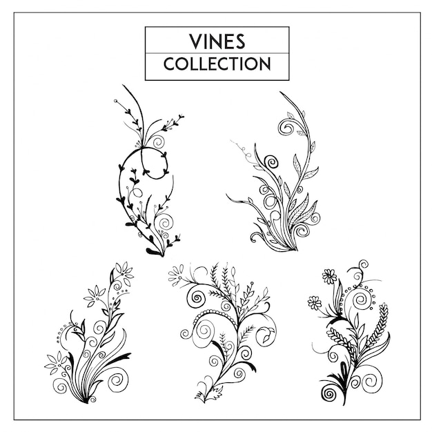 Free Vector hand drawn black and white vines collection