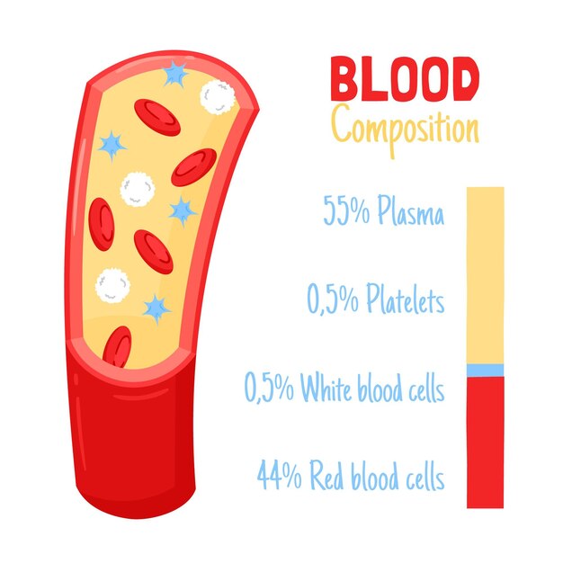 Hand drawn blood infographic