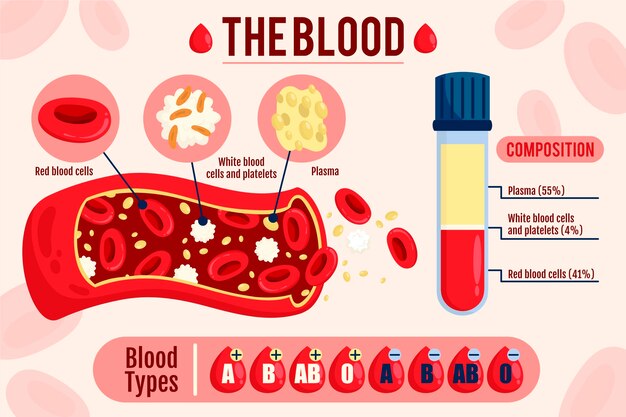 Hand drawn blood infographic