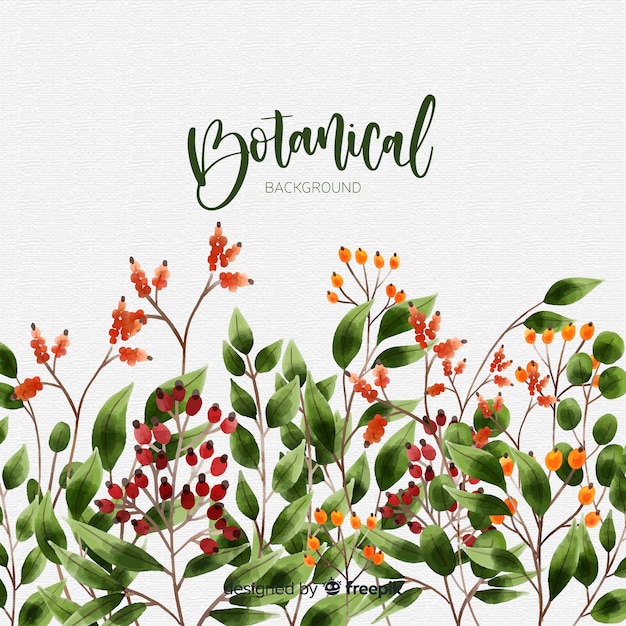 Free Vector hand drawn botanical background