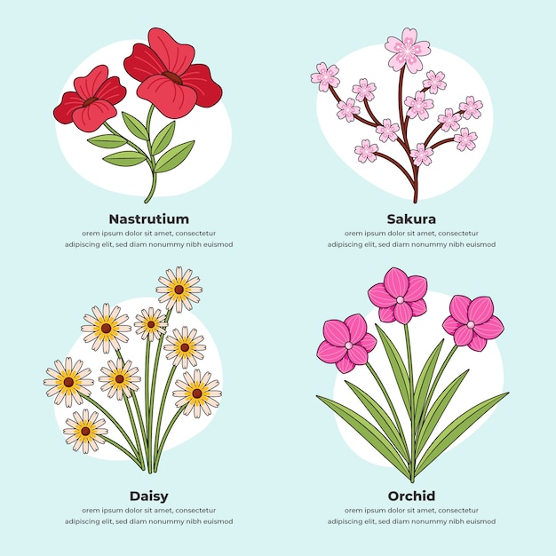 Hand drawn botanical flower chart