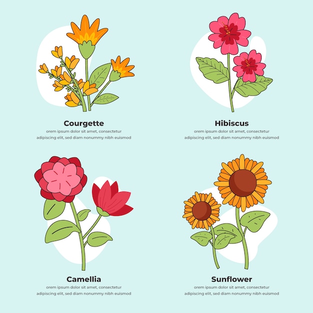 Hand drawn botanical flower chart