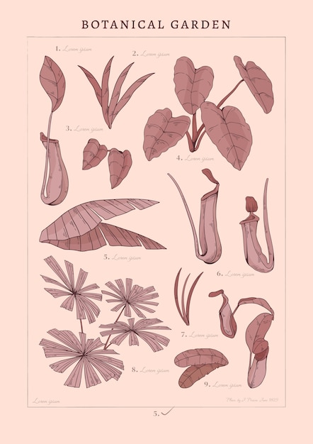 Hand drawn  botanical garden poster