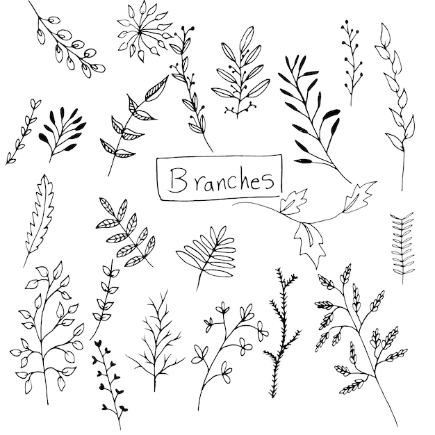 Free Vector hand drawn branches collection