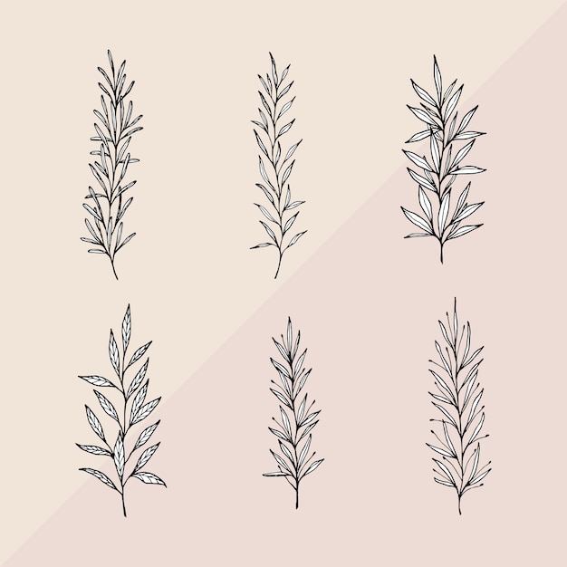 Hand drawn branches with white leaves