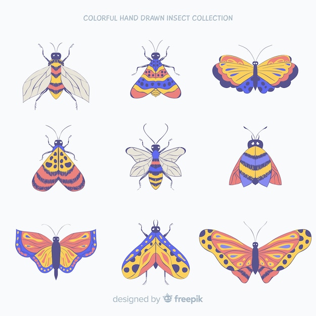 Free Vector hand drawn bugs collection