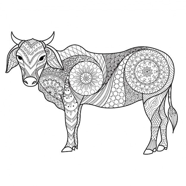 Hand drawn bull background