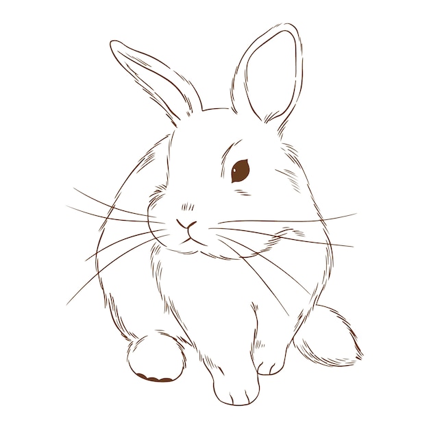 Free vector hand drawn bunny outline illustration