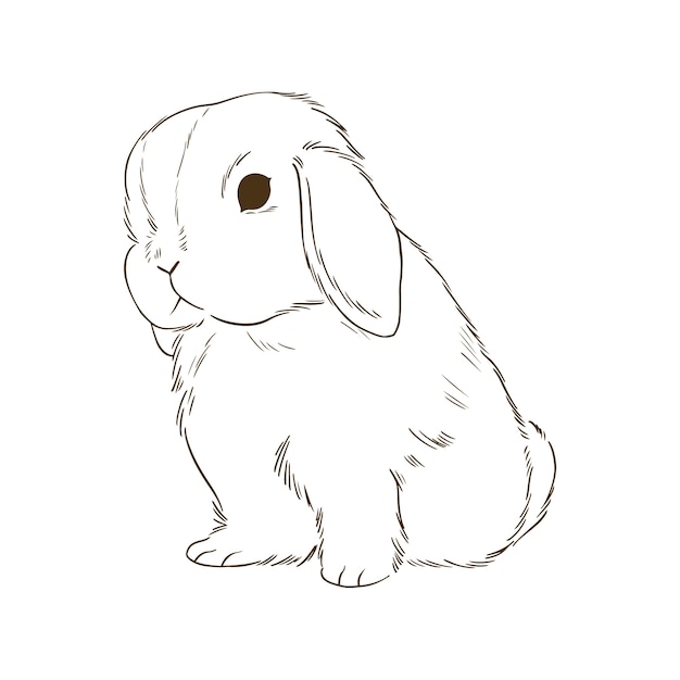 Hand drawn bunny outline illustration