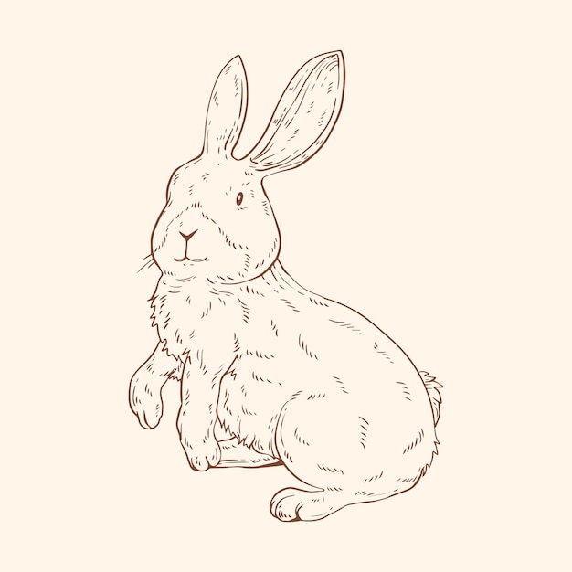 Hand drawn bunny outline illustration