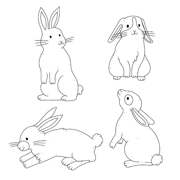 Free Vector hand drawn bunny outline illustration