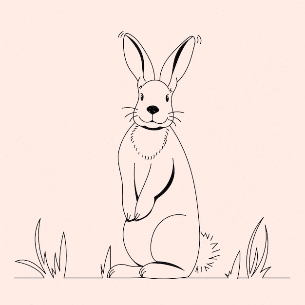 Free Vector hand drawn bunny outline illustration