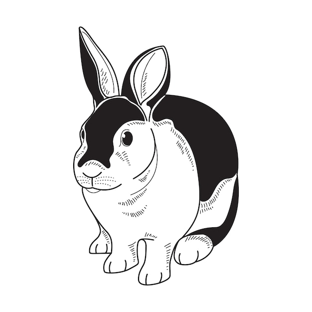 Hand drawn bunny outline illustration