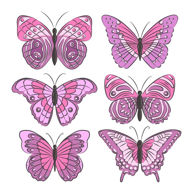 Hand drawn butterfly illustration