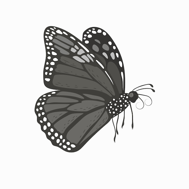 Free vector hand drawn butterfly illustration