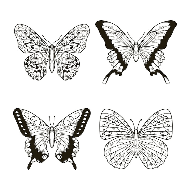 Free vector hand drawn butterfly illustration