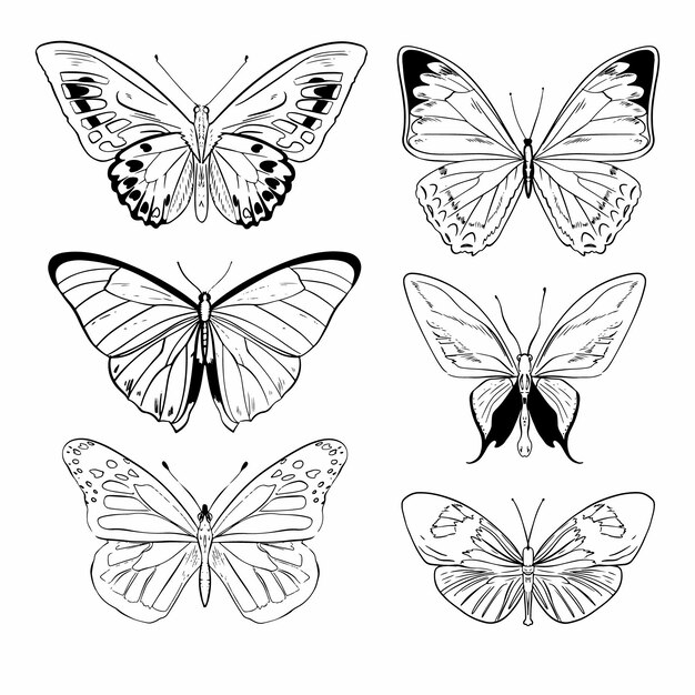 Hand drawn butterfly outline collection