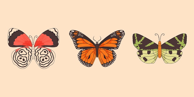 Free vector hand drawn butterfly set design