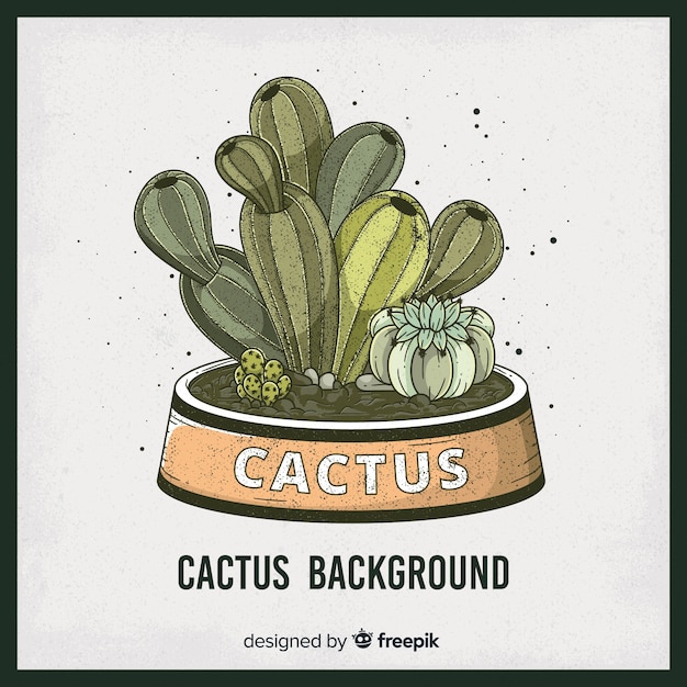 Free Vector hand drawn cactus background