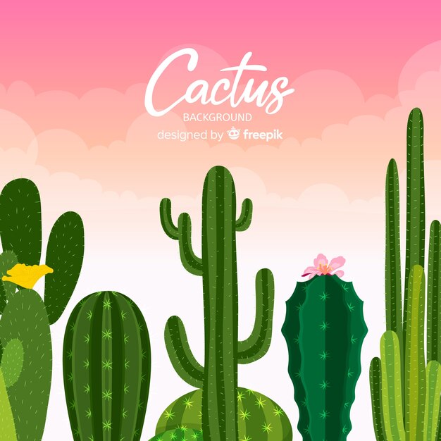 Hand drawn cactus background