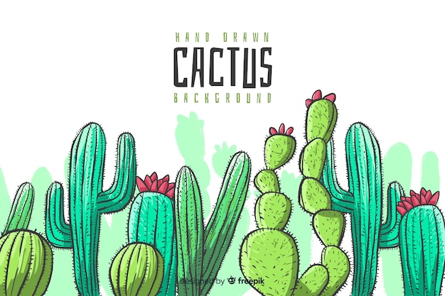 Hand drawn cactus background