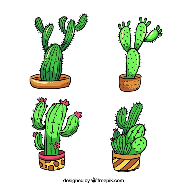 Hand drawn cactus collection