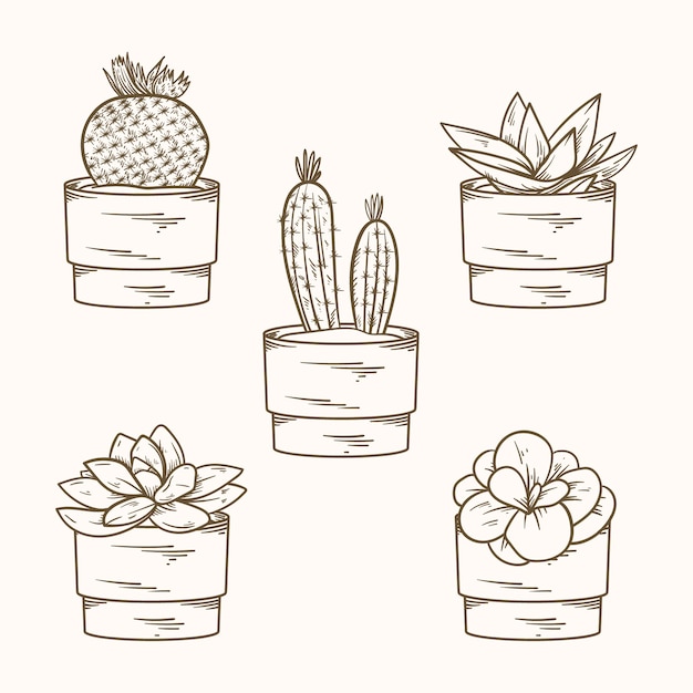 Free vector hand drawn cactus drawing illustration