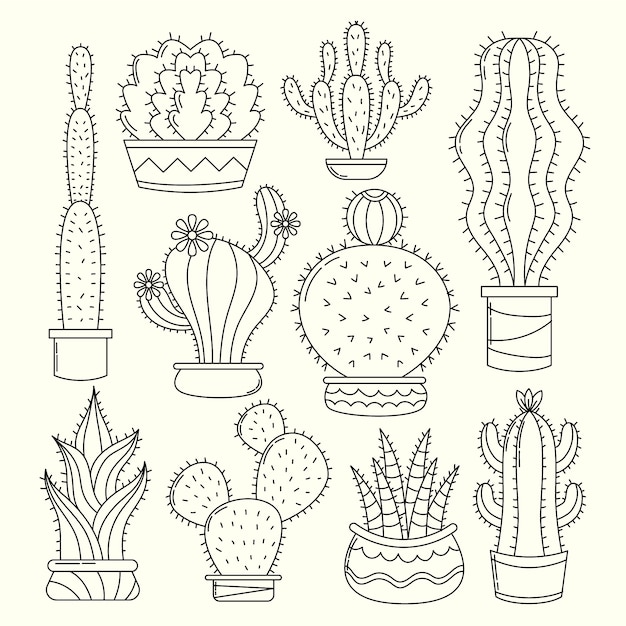 Free Vector hand drawn cactus drawing illustration