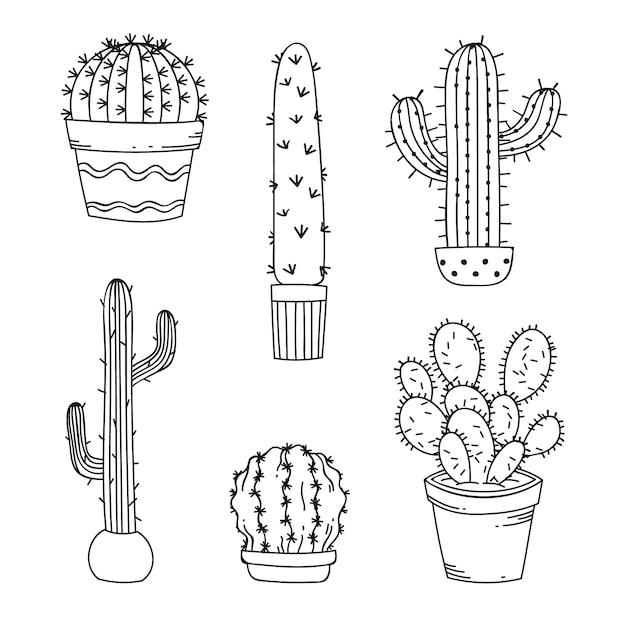 Free vector hand drawn cactus drawing illustration