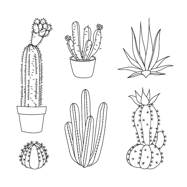 Free vector hand drawn cactus drawing illustration