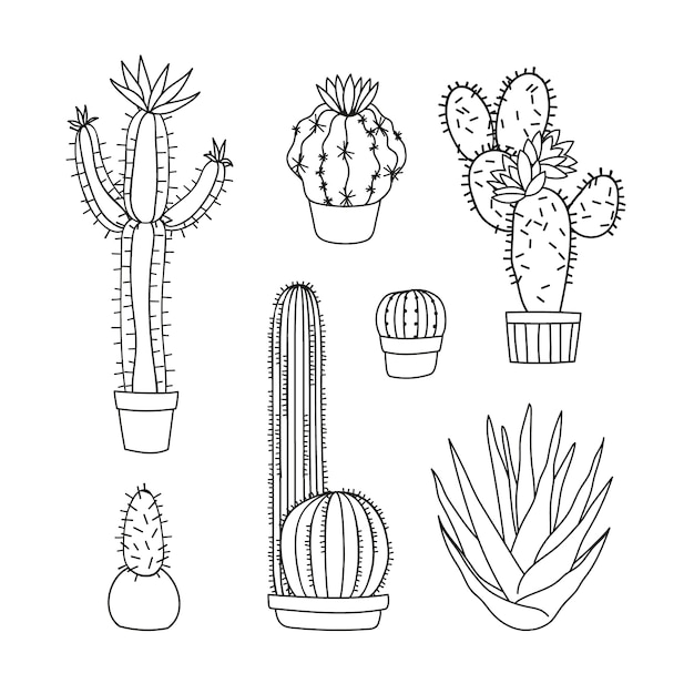 Free Vector hand drawn cactus drawing illustration