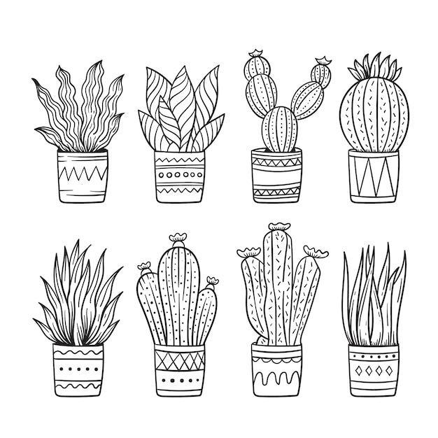 Free vector hand drawn cactus drawing illustration