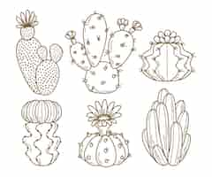 Free vector hand drawn cactus  illustration