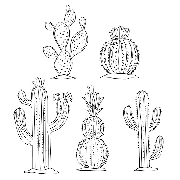 Hand drawn cactus outline illustration