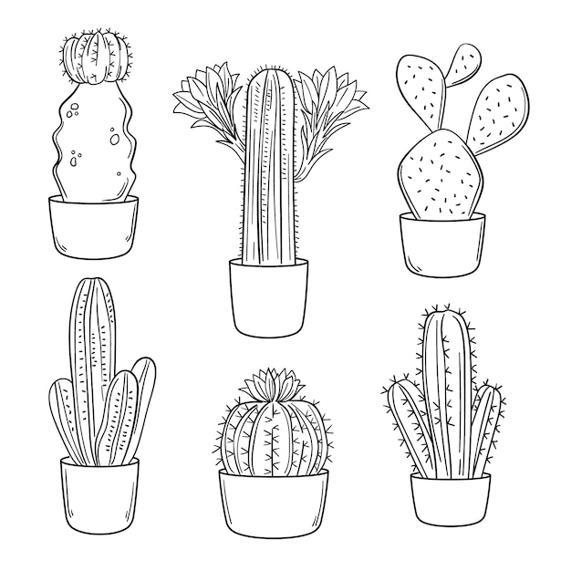 Free vector hand drawn cactus outline illustration