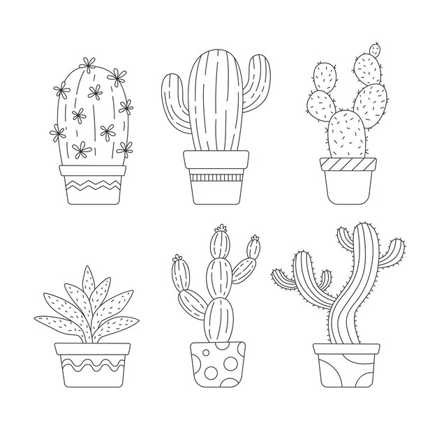 Hand drawn cactus outline illustration