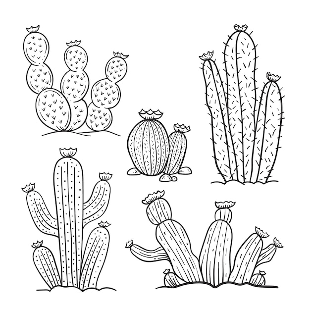 Free vector hand drawn cactus outline illustration