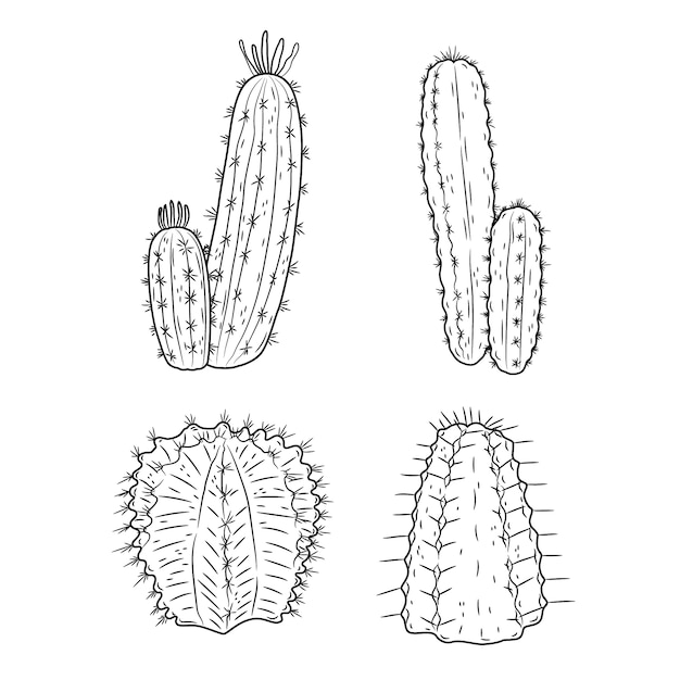 Free vector hand drawn cactus outline illustration