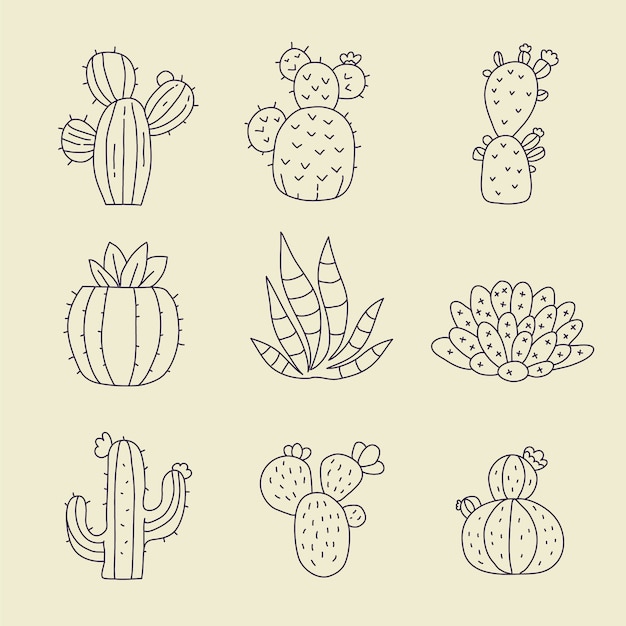 Free vector hand drawn cactus outline illustration