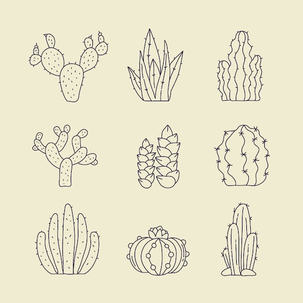 Free Vector hand drawn cactus outline illustration